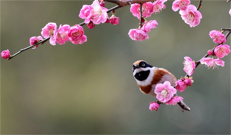 �t÷���q����ѩ���S��