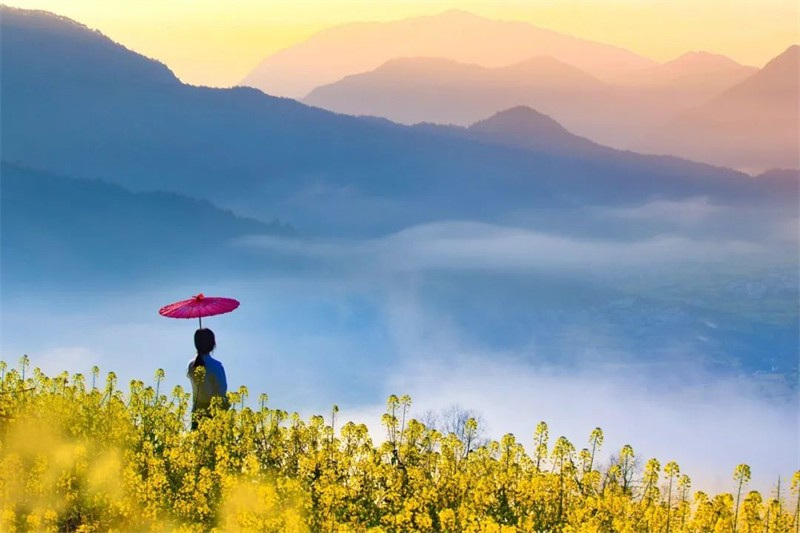 ���L���괺����������|�v�ώ�Ԋ��