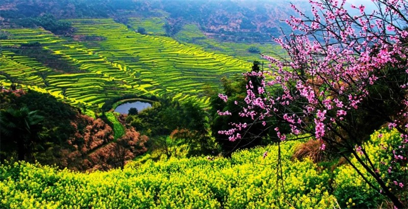 һƬ�S������ɫ���o߅���˽��{��