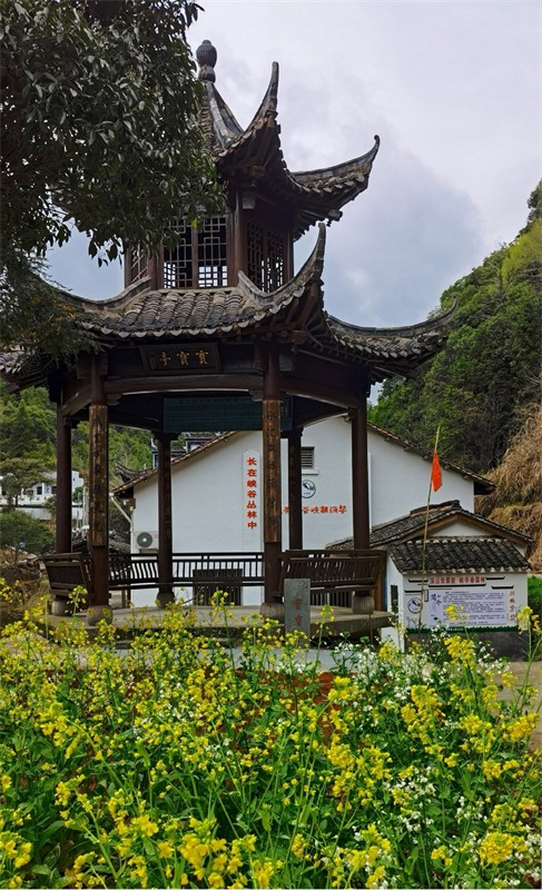 һƬ�S������ɫ���o߅���˽��{��