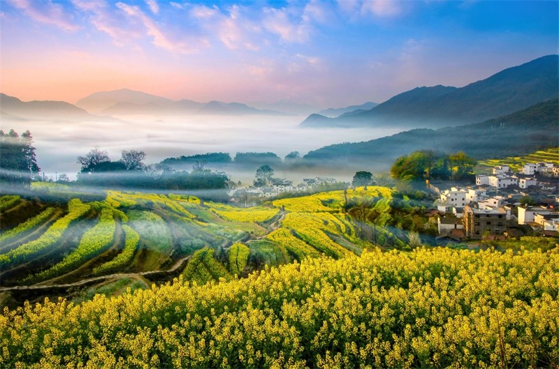 һƬ�S������ɫ���o߅���˽��{��