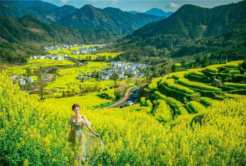 һƬ�S������ɫ���o߅���˽��{��