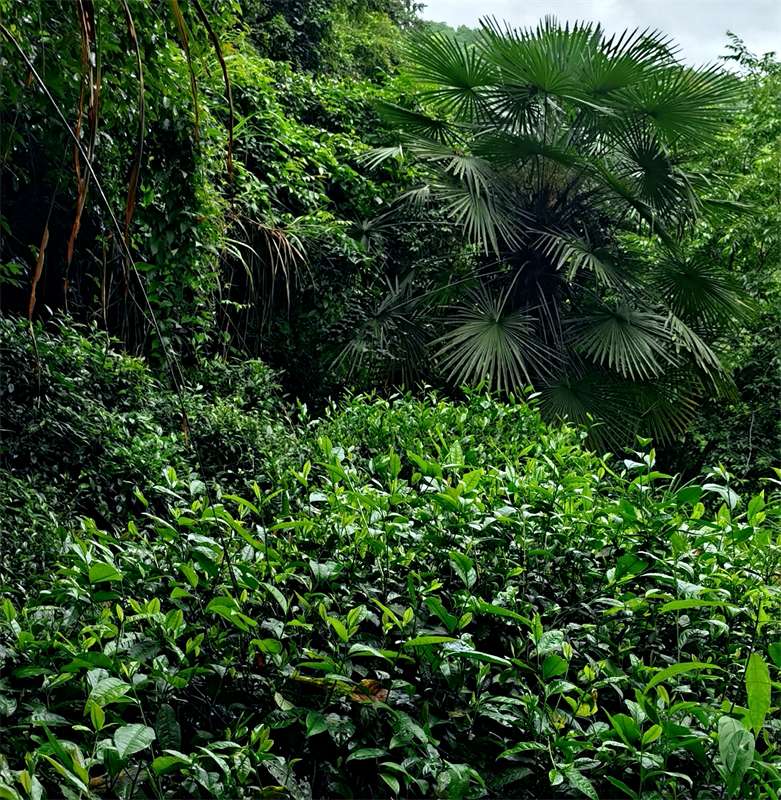 �����F��