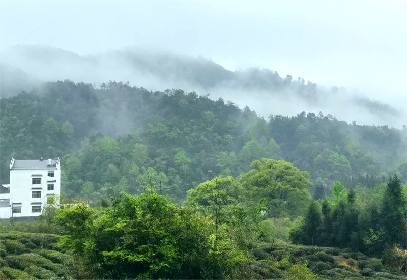 �����F��