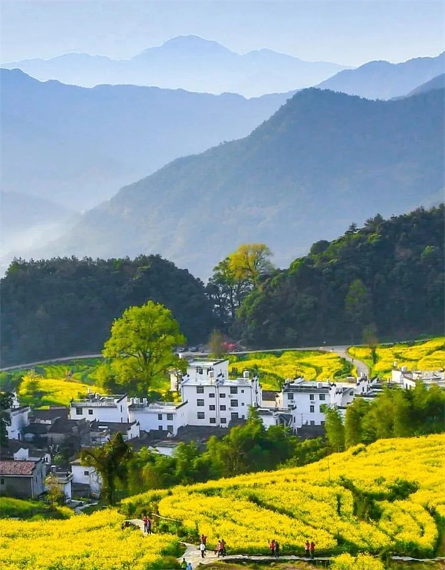 ���µ��Ͳ˻�