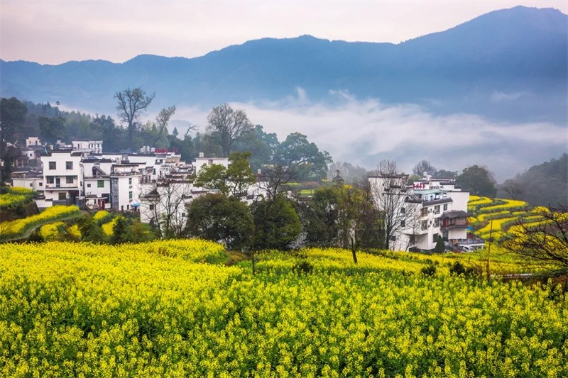 ���µ��Ͳ˻�