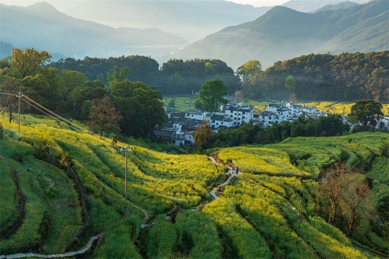 ���½���