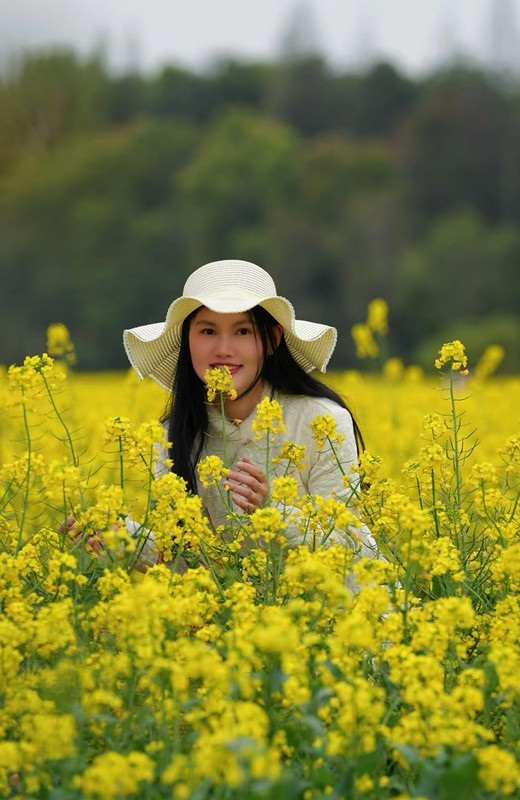 ���½���