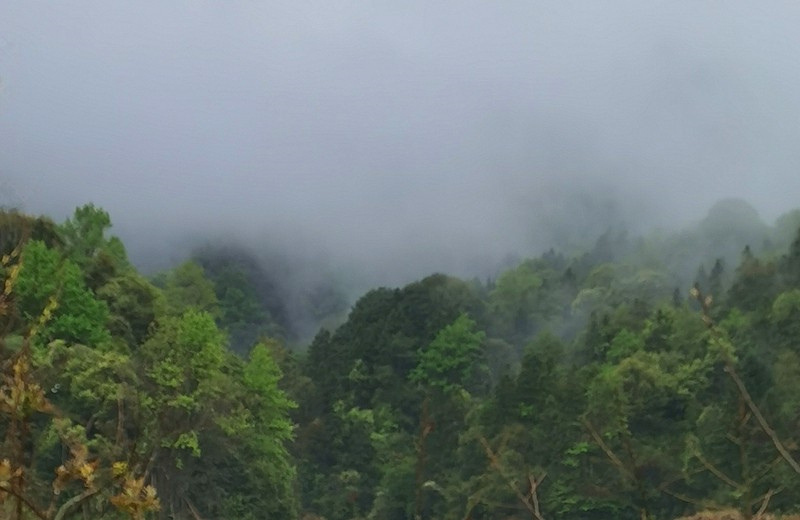 ���½���