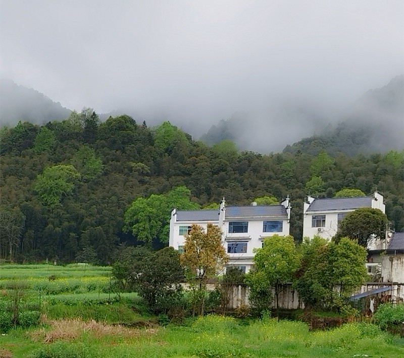 ���½���