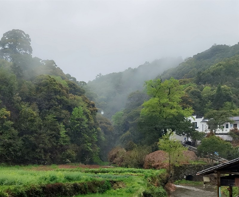 ���½���