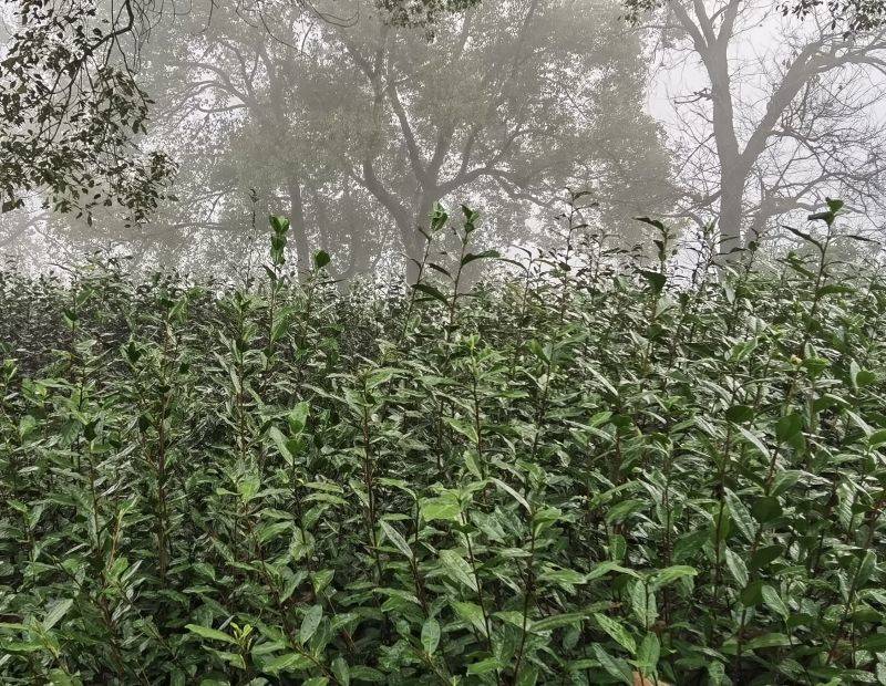 ������ɫ~�{�ȴ�