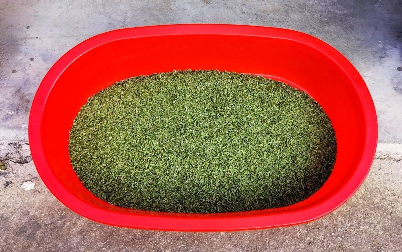 ������ɫ-�{�ȴ�