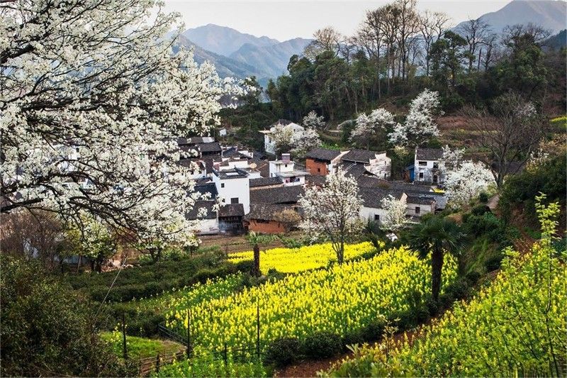 ���L���괺������������