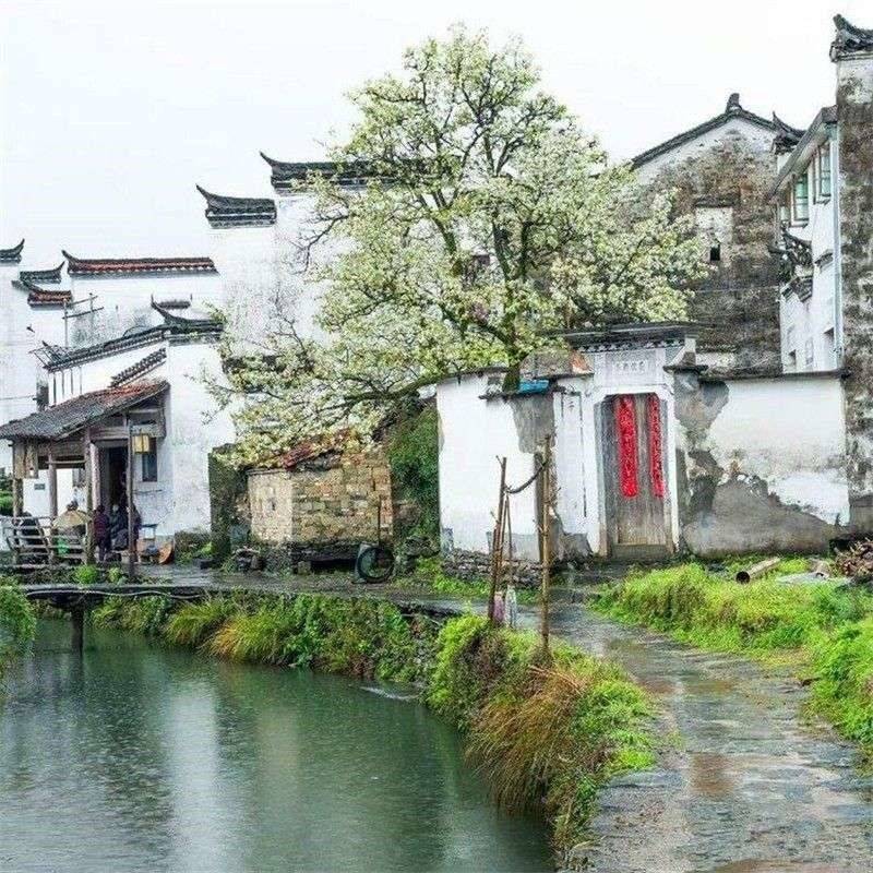 ���L���괺������������