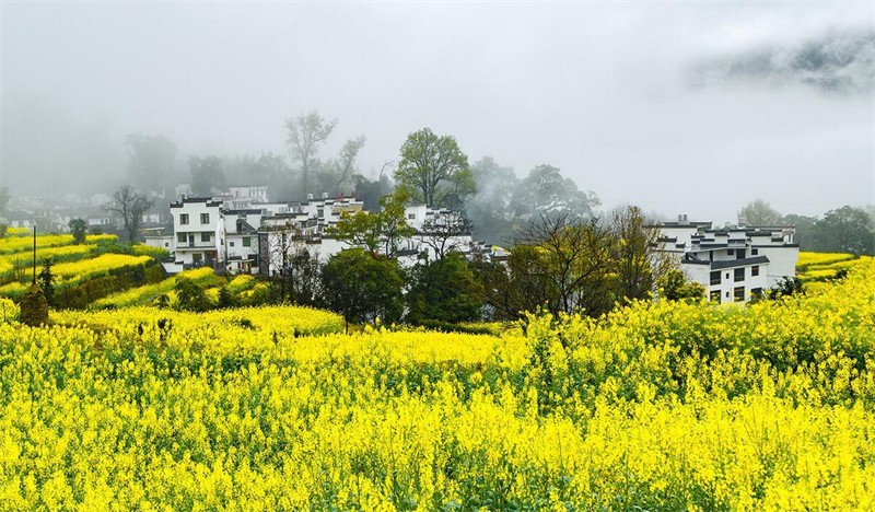 ���L���괺������������