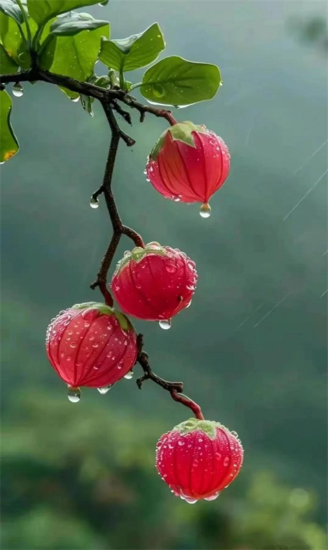 ���L���괺������������