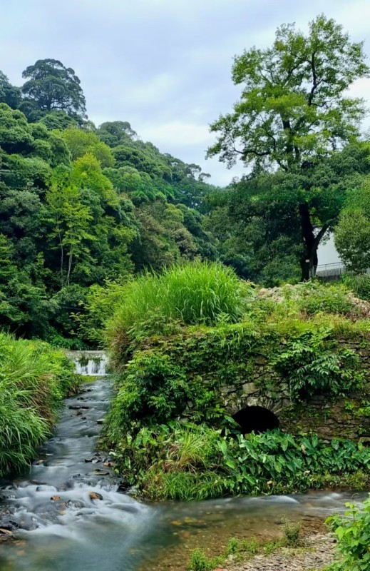 �{�ȴ���