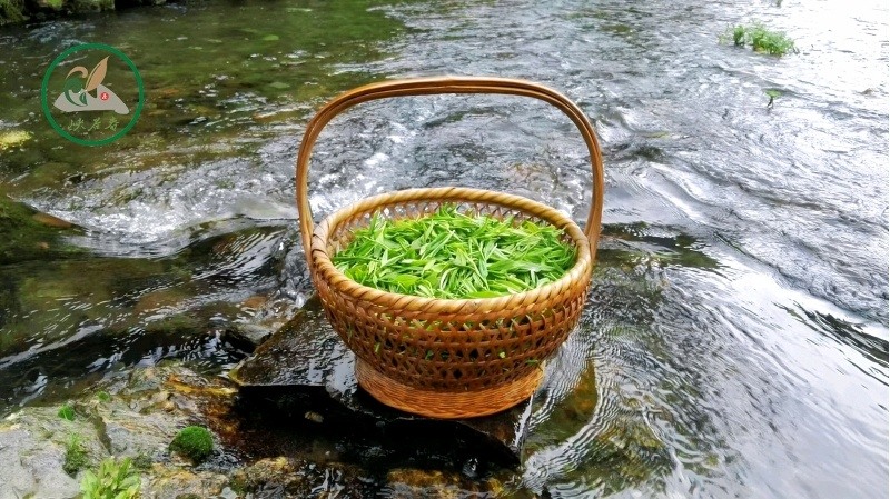 �{�ȴ���