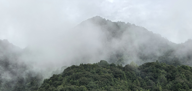 �����F��~���S�����l���������������ݴ�����h��