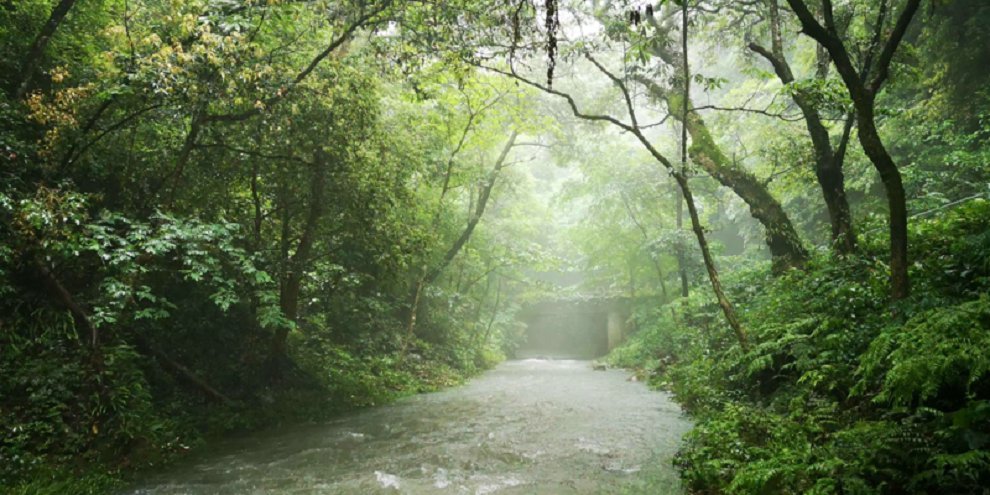 �����F��~���S�����l���������������ݴ�����h��