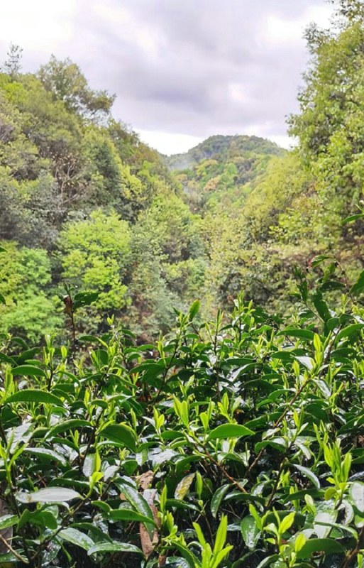 �����F��~���S�����l���ӡ����������ݴ�����h��