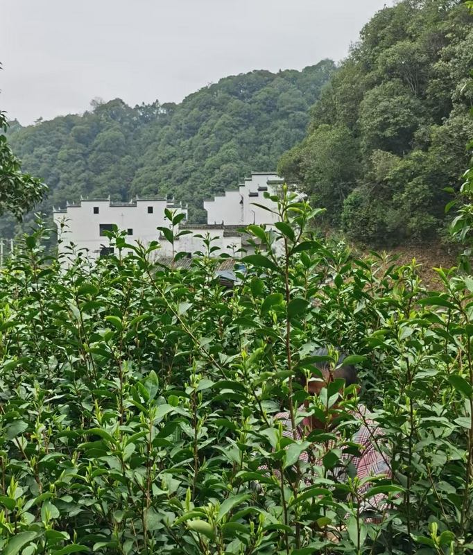 �����F��~���S�����l���������������ݴ�����h��