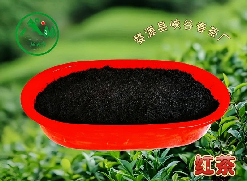 �����F��~���S�����l���������������ݴ�����h��