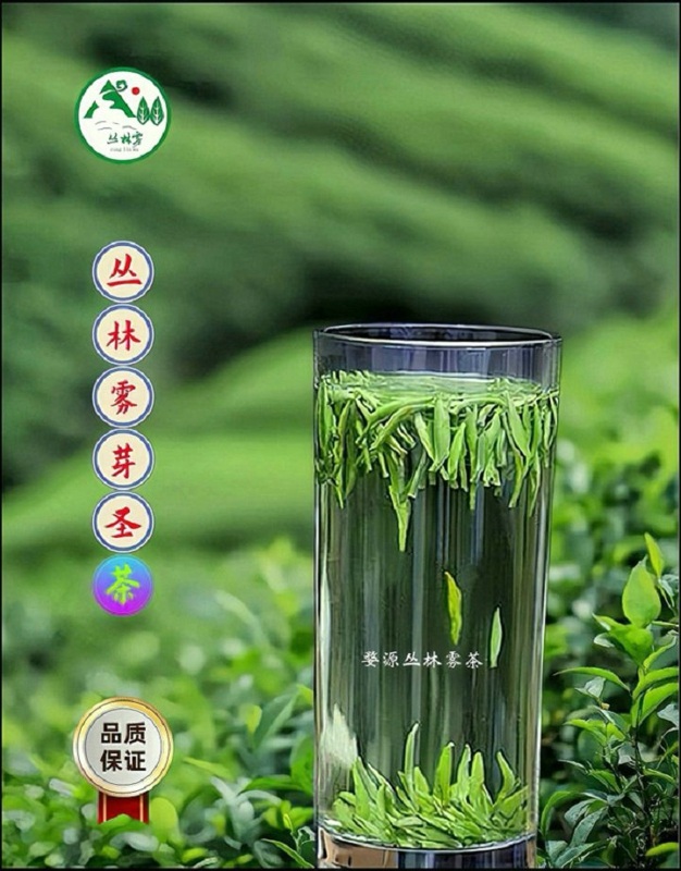 �����F��~���S�����l���ӡ����������ݴ�����h��