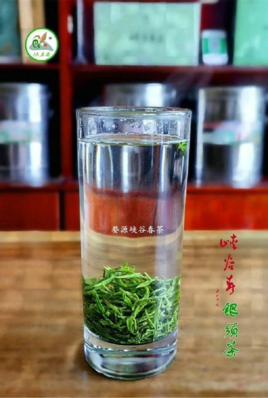 �����F��~���S�����l���������������ݴ�����h��