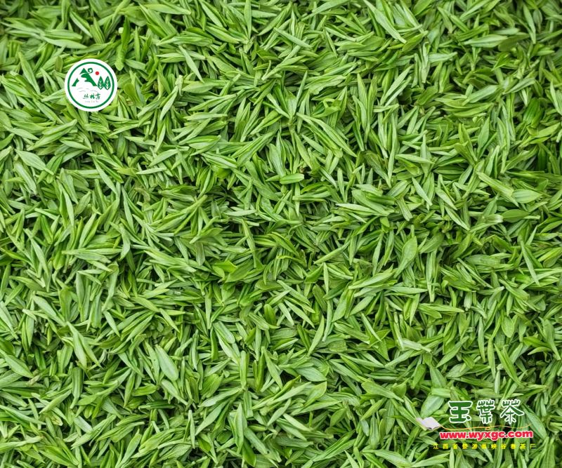 ���������R��������ײ���