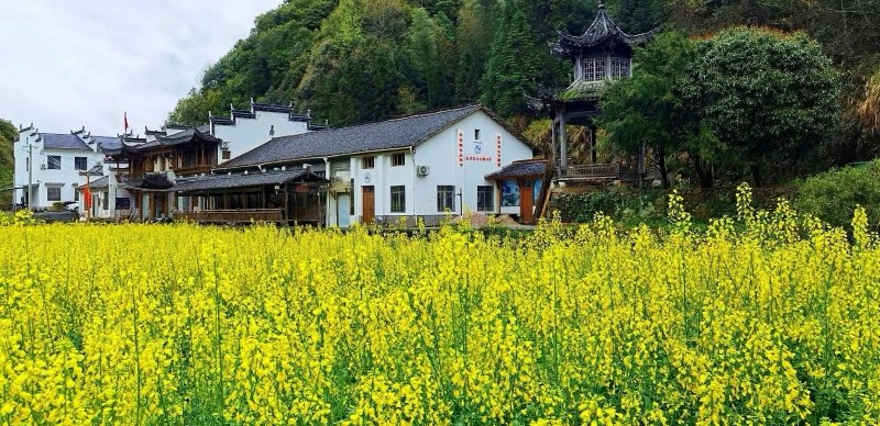 �L��Դ�{�ȴ���S�S�L�R�F�w