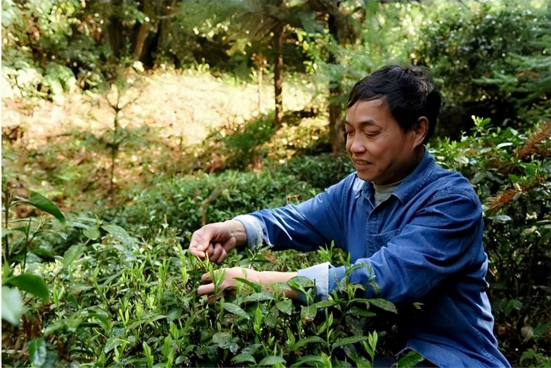 �\���ǽ�ӛ����ʡ��Դ�h�{�ȴ���S�S�L�R�F�w