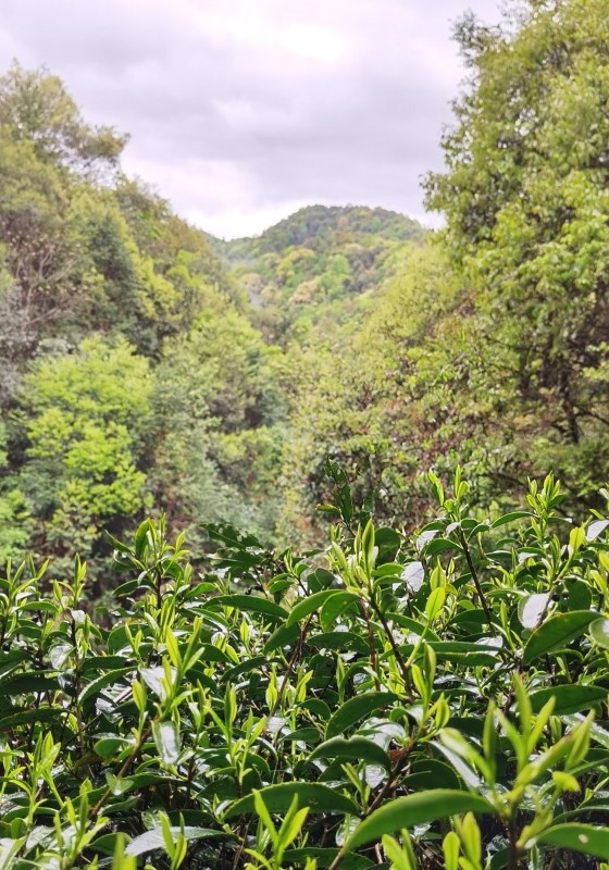 �}��Դ�{�ȴ��������F��Ԋ(sh��)����