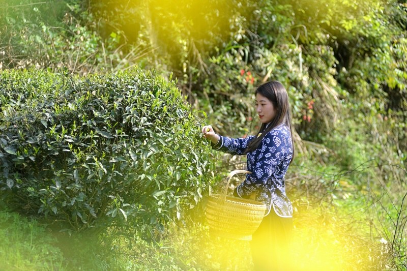 �}��Դ�{�ȴ��������F��Ԋ(sh��)����